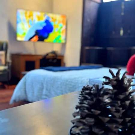 Tatil Evi Casa Tradicional - Caleton Gara